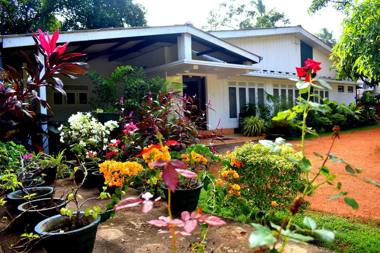 Hôtel Molino Tourist Rest Anurâdhapura Extérieur photo