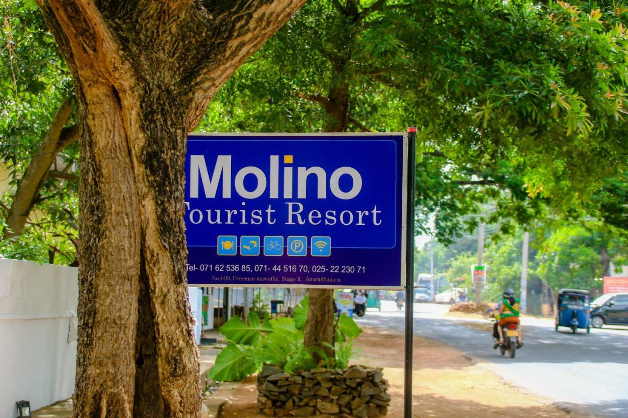 Hôtel Molino Tourist Rest Anurâdhapura Extérieur photo